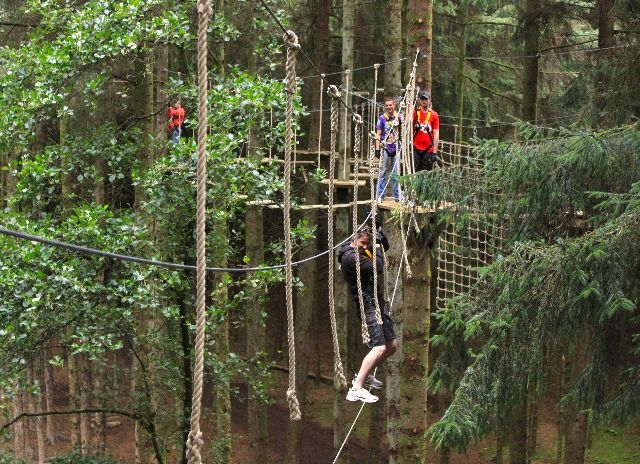 La nostra esperienza in cima all'albero 